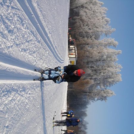 Marsovska Rychta Hotel Nove Mesto na Morave Buitenkant foto